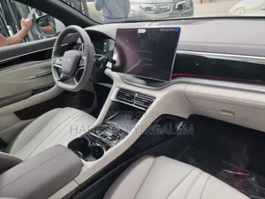 New BYD Song Plus 2025 Gray