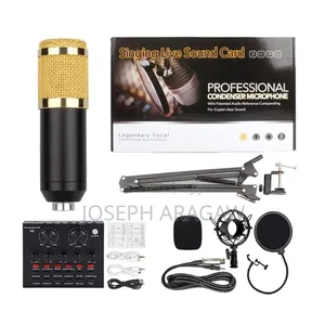 Photo - Professional Condenser Mic
