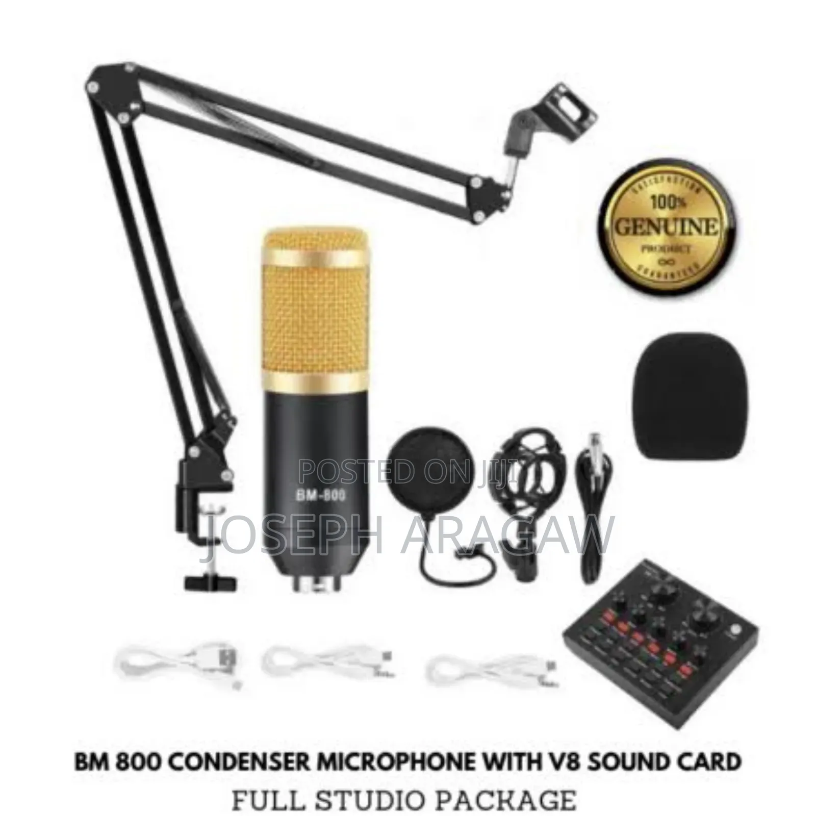 Professional Condenser Mic