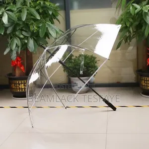 Photo - Transparent Umbrella