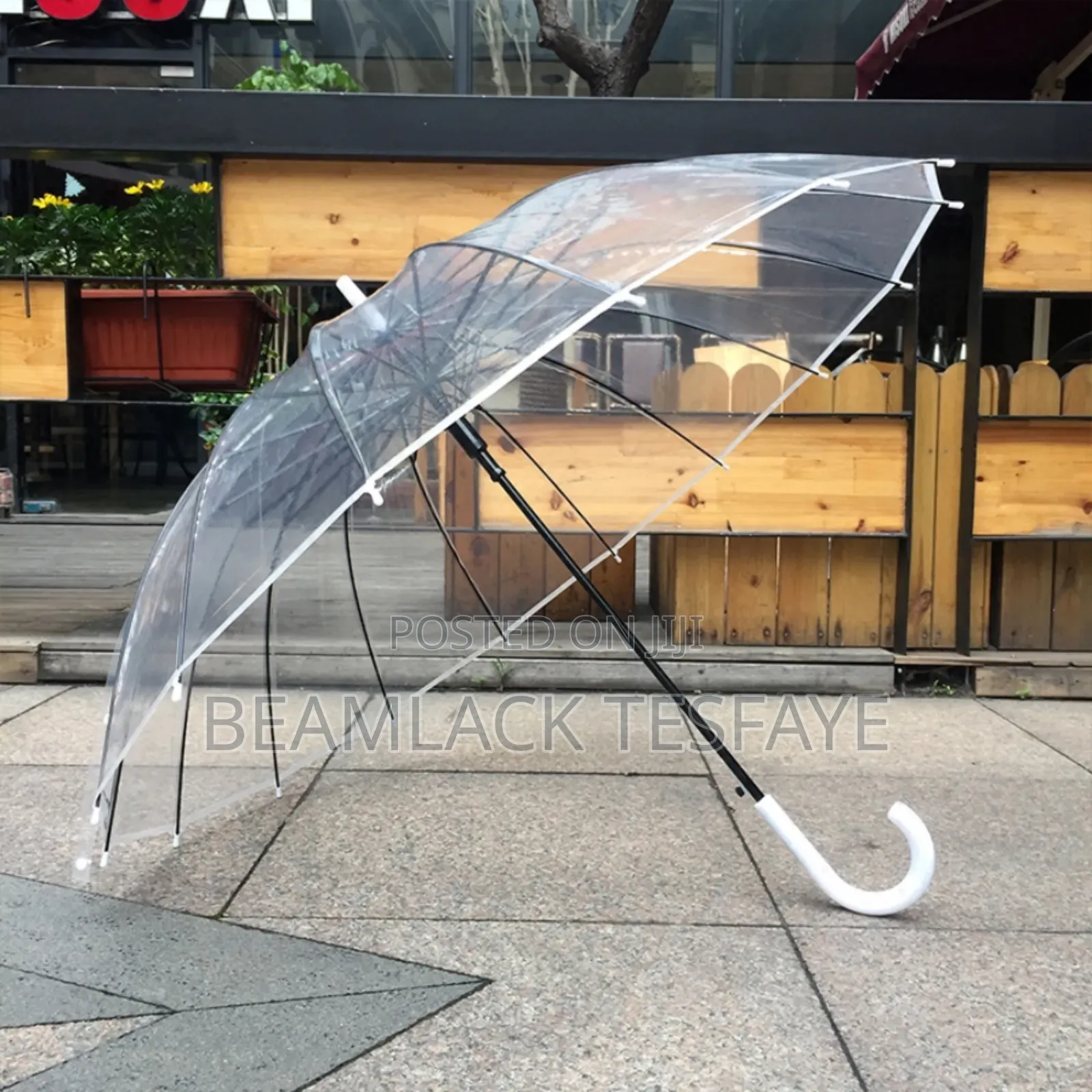 Transparent Umbrella