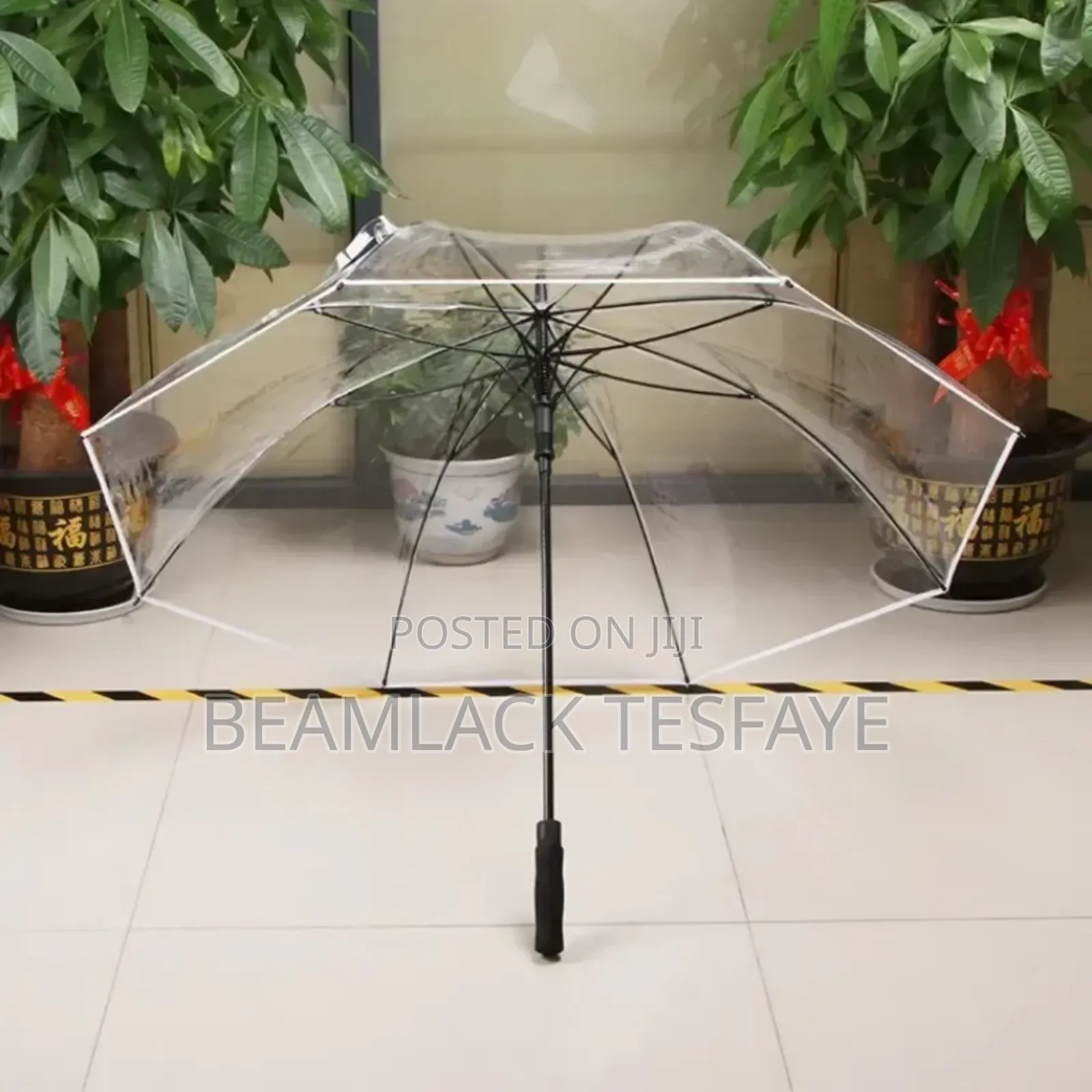 Transparent Umbrella