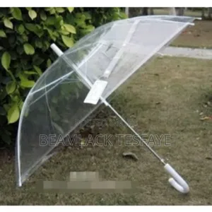 Transparent Umbrella