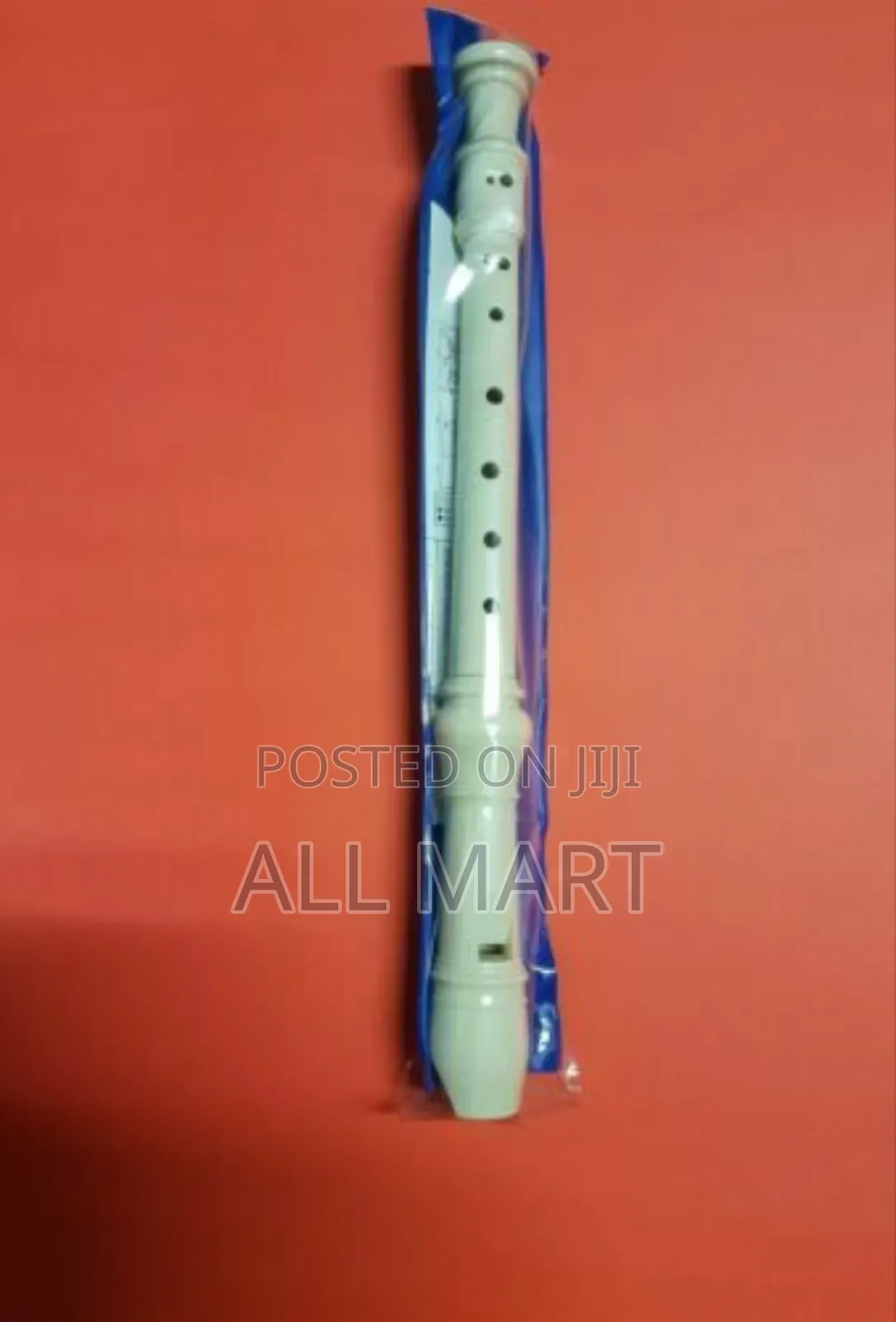 Flute Brand New