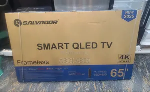 Salvador Tv 65" Fremless