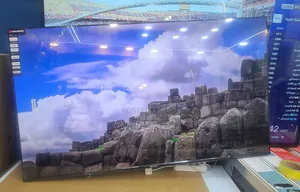 Salvador Tv 65" Fremless