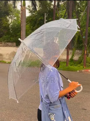 Transparent Umbrella