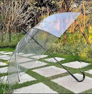 Transparent Umbrella