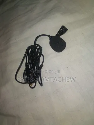 Microphone Mini