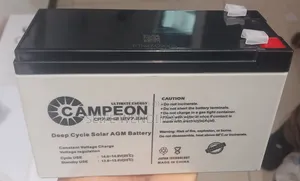 Ups Battery