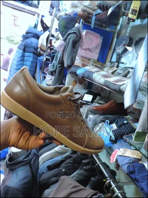 Photo - Cat Shoes Original