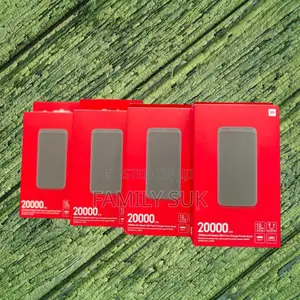 Mi 20000 With 4 Ports: The Smartest Way to Charge