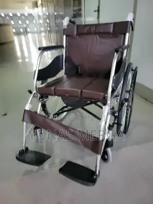 Toilet Wheelchair||Premium Universal Nickle Chrome卄■Wilcher