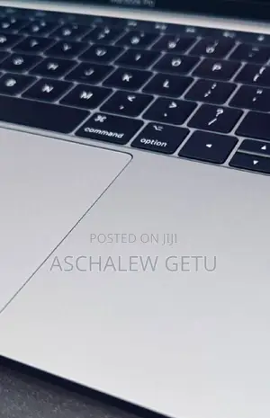 New Laptop Apple MacBook Pro 2017 8GB Apple M1 SSD 256GB