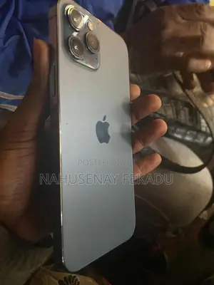 Apple iPhone 12 Pro Max 256 GB Blue