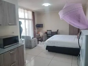 Furnished Studio Apartment in Bole for rent