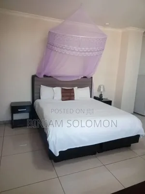 Furnished Studio Apartment in Bole for rent