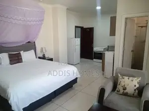 Furnished Studio Apartment in Bole for rent
