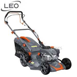 Petrol Leo Lown Mower 196cc Europe Standard