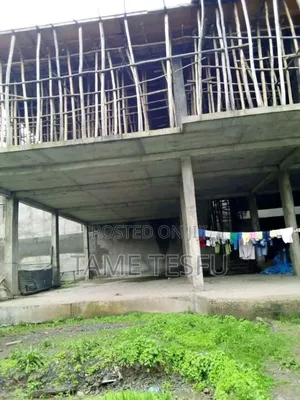 Furnished 4bdrm House in Hayat, Bole for sale