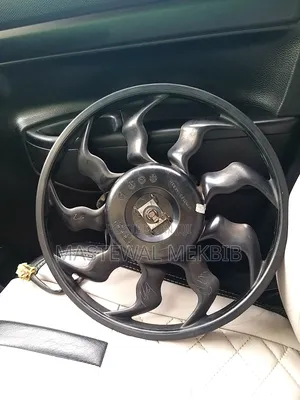 Photo - Suzuki Spresso Fan and Dinamo