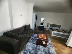 Photo - Furnished Studio Apartment in Bole for rent