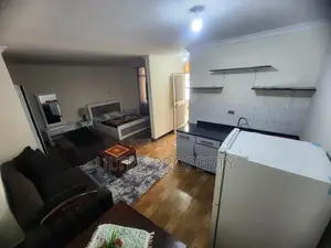 Furnished Studio Apartment in Bole for rent