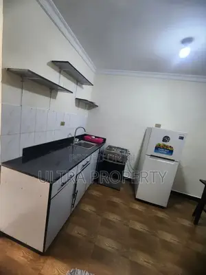 Furnished Studio Apartment in Bole for rent