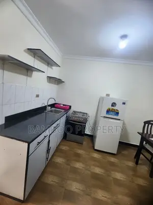 Furnished Studio Apartment in Bole for rent