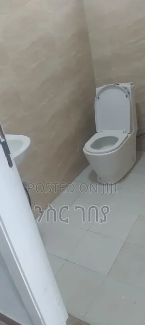 Furnished 3bdrm Condo in Ayat 49, 40/60, Yeka for rent