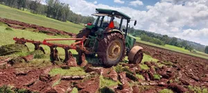 Photo - Tractor for Sale