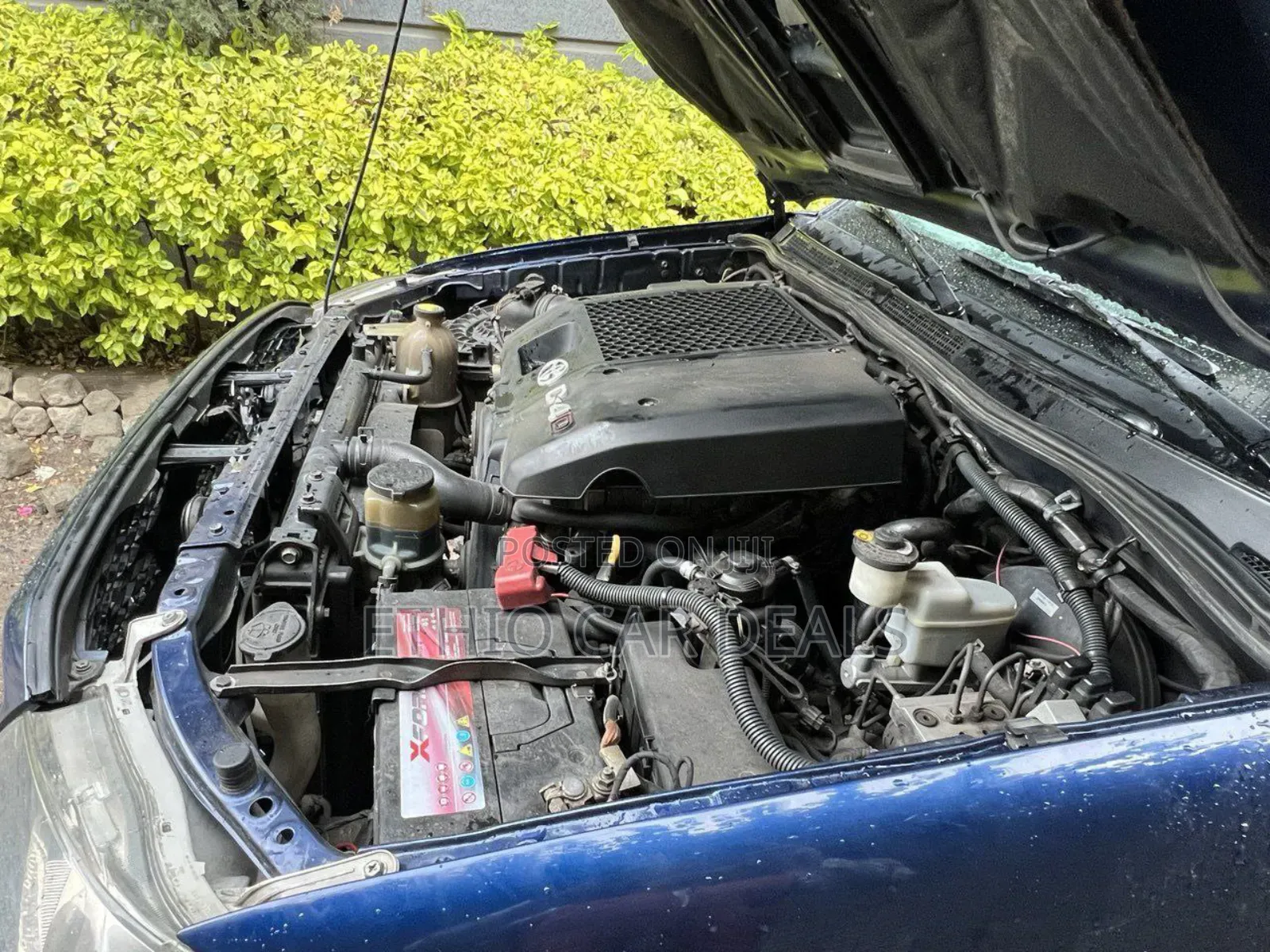 Toyota Hilux 2009 Blue