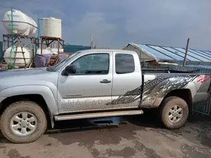 Toyota Tacoma 2009 Silver