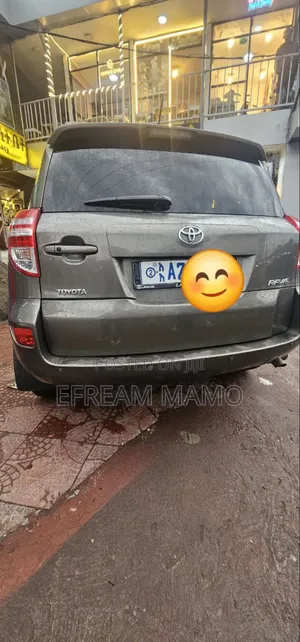 Toyota RAV4 2012 Brown