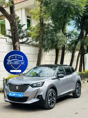 Photo - Peugeot 2008 2022 Silver