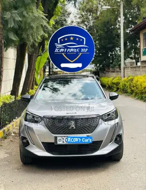 Peugeot 2008 2022 Silver