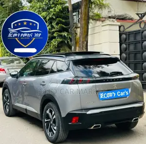 Peugeot 2008 2022 Silver