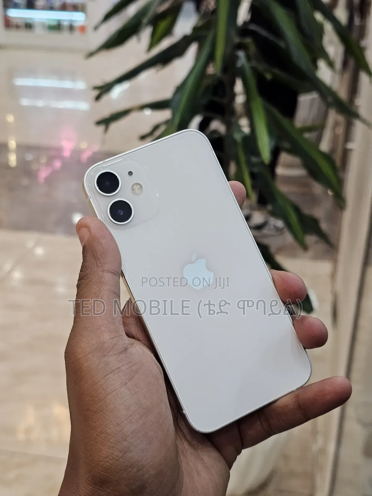 Apple iPhone 12 128 GB White