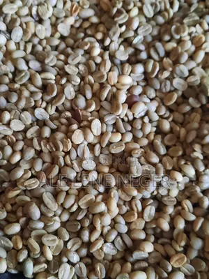 Photo - ንፁህ የሐረር ቡና