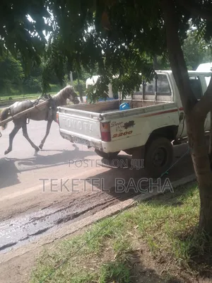 Toyota Hilux 1987 White