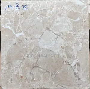 Photo - 60*60 High Quality Porcelain Ceramic for Sale