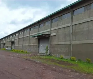Photo - Warehouse for Rent Debre Birehan መጋዘን ኪራይ ደ/ብርሃን አከባቢ