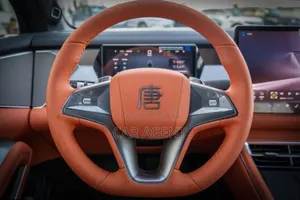 New BYD Tang DM-i 2025 Black