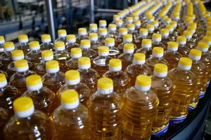 Sunflower Oil