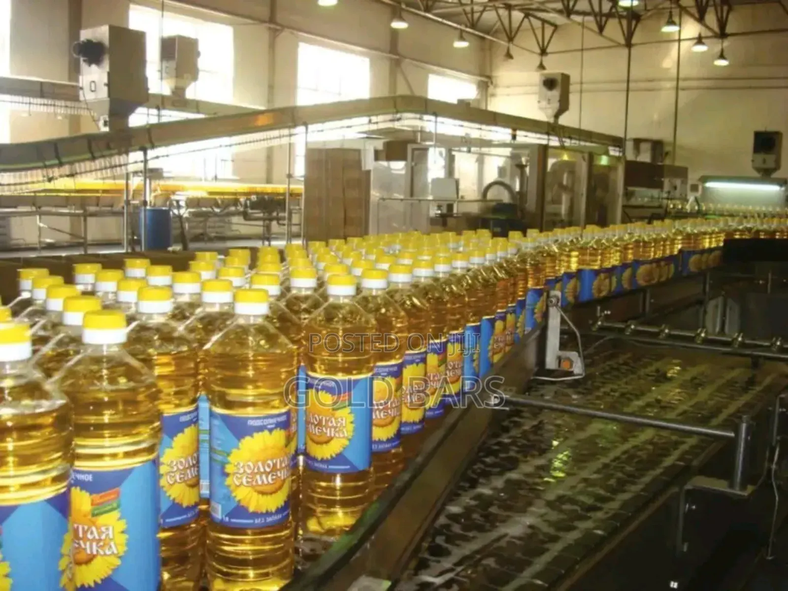 Sunflower Oil