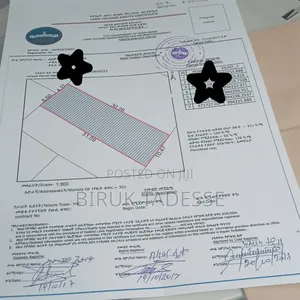 የሚሸት ቤት አፍሪካ ህብረት ቡልጋርያ ሚካኤል አጠገብ 178 ካሬ ዲጂታል ካርታ ያለው