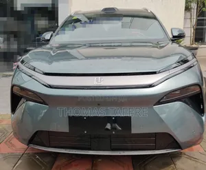 Photo - New BYD Tang EV 2025 Gray