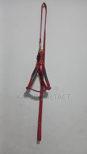 Normal Dog Harness With Reflective Background