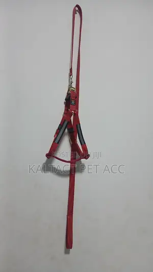 Normal Dog Harness With Reflective Background