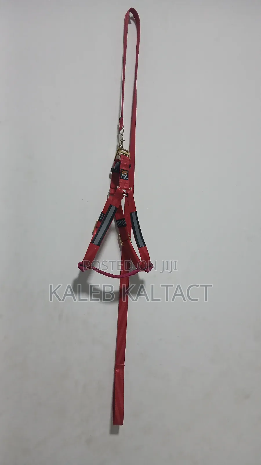 Normal Dog Harness With Reflective Background